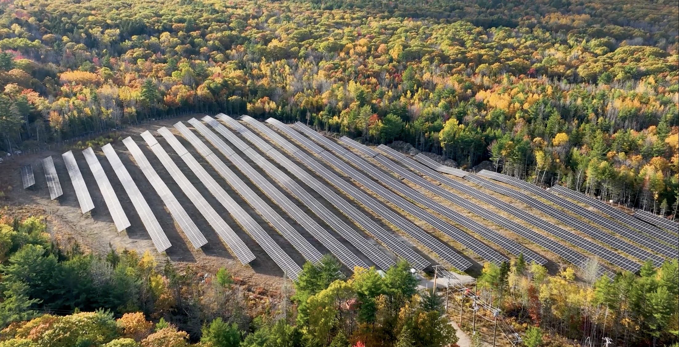 Open Image In Lightbox